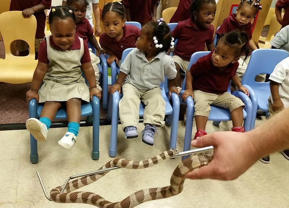 Exciting In-House Visits Include Reptiles, Fire Trucks & More